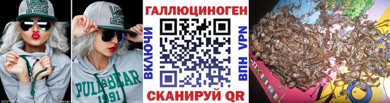 Псилоцибиновые грибы MAGIC MUSHROOMS  Верхний Уфалей 