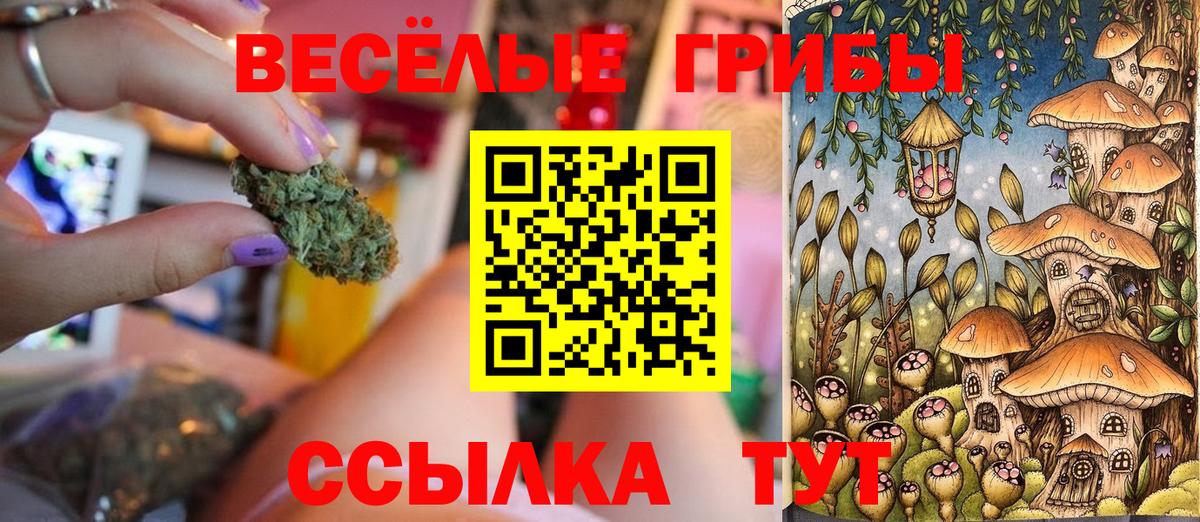 Псилоцибиновые грибы MAGIC MUSHROOMS Верхний Уфалей
